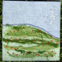 mai2008